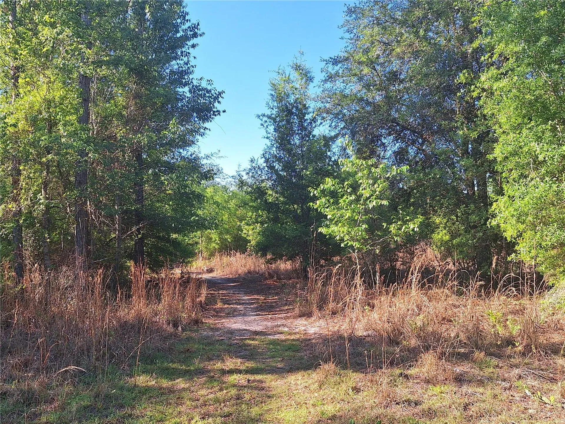 Tbd 000 NE 998th Avenue Branford FL 32008