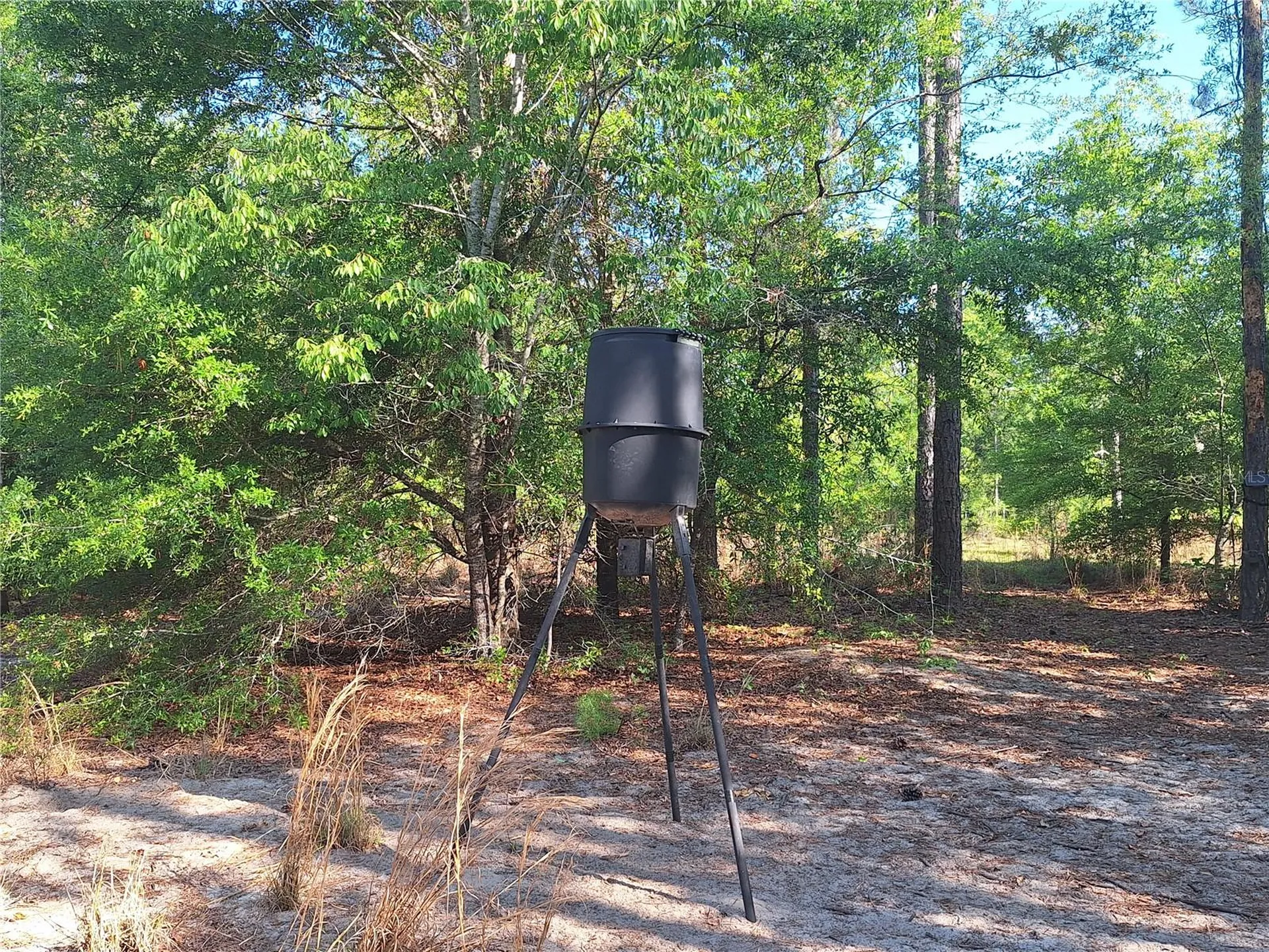 Tbd 000 NE 998th Avenue Branford FL 32008