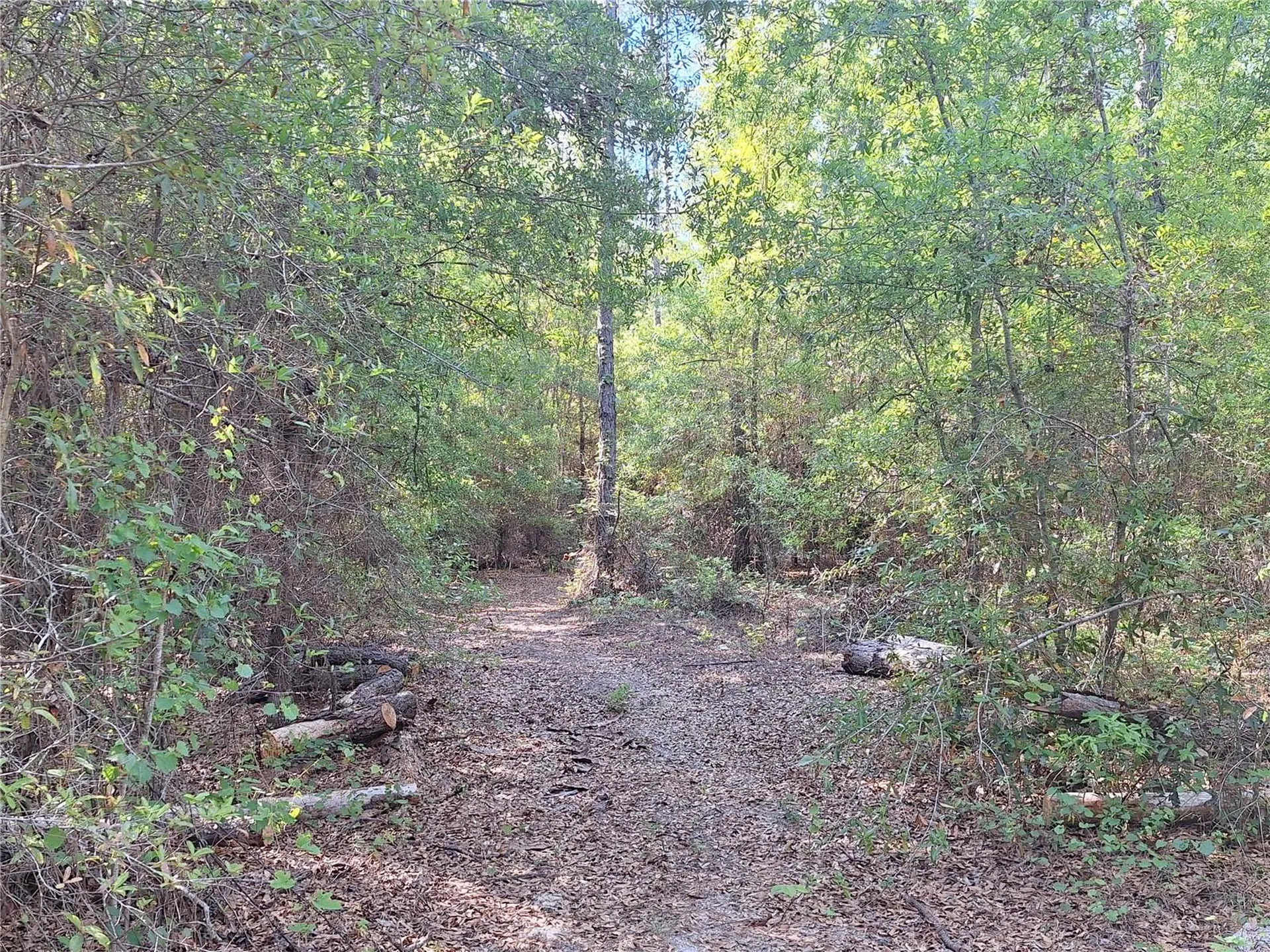 Tbd 000 NE 998th Avenue Branford FL 32008