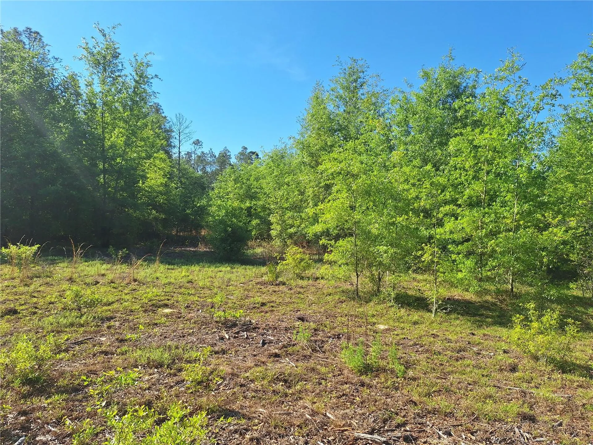 Tbd 000 NE 998th Avenue Branford FL 32008
