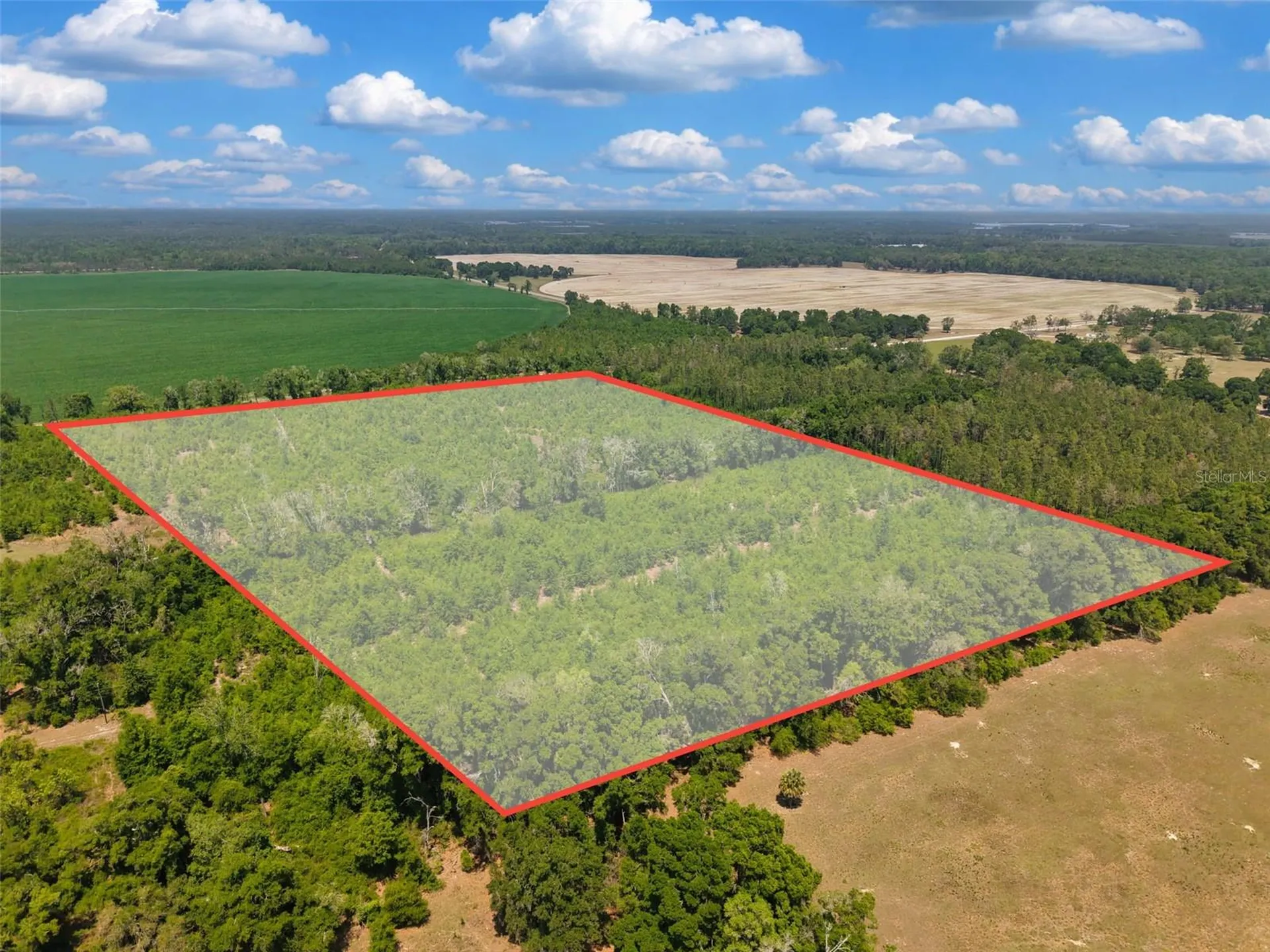 Tbd 000 NE 998th Avenue Branford FL 32008