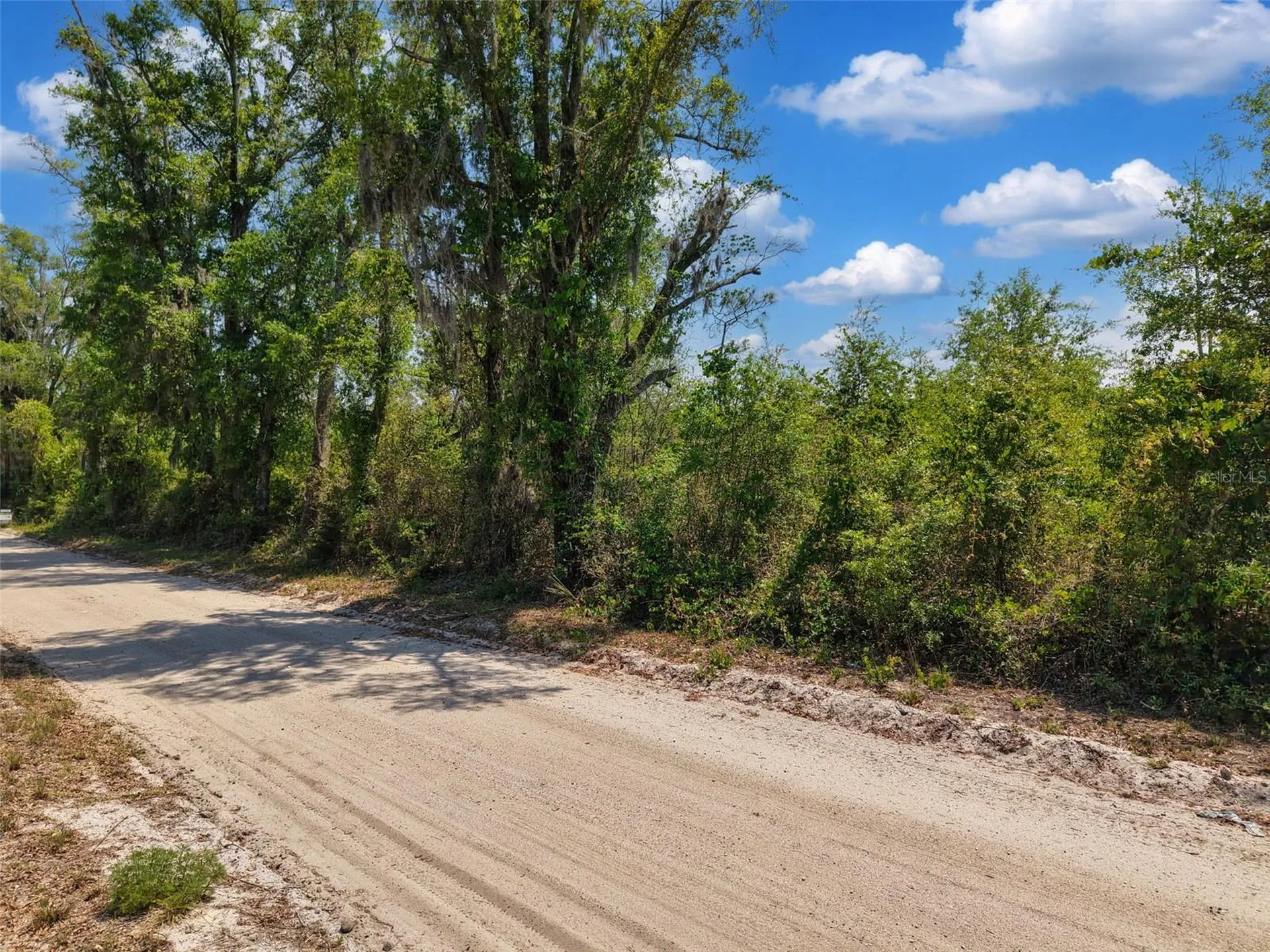 Tbd 000 NE 998th Avenue Branford FL 32008
