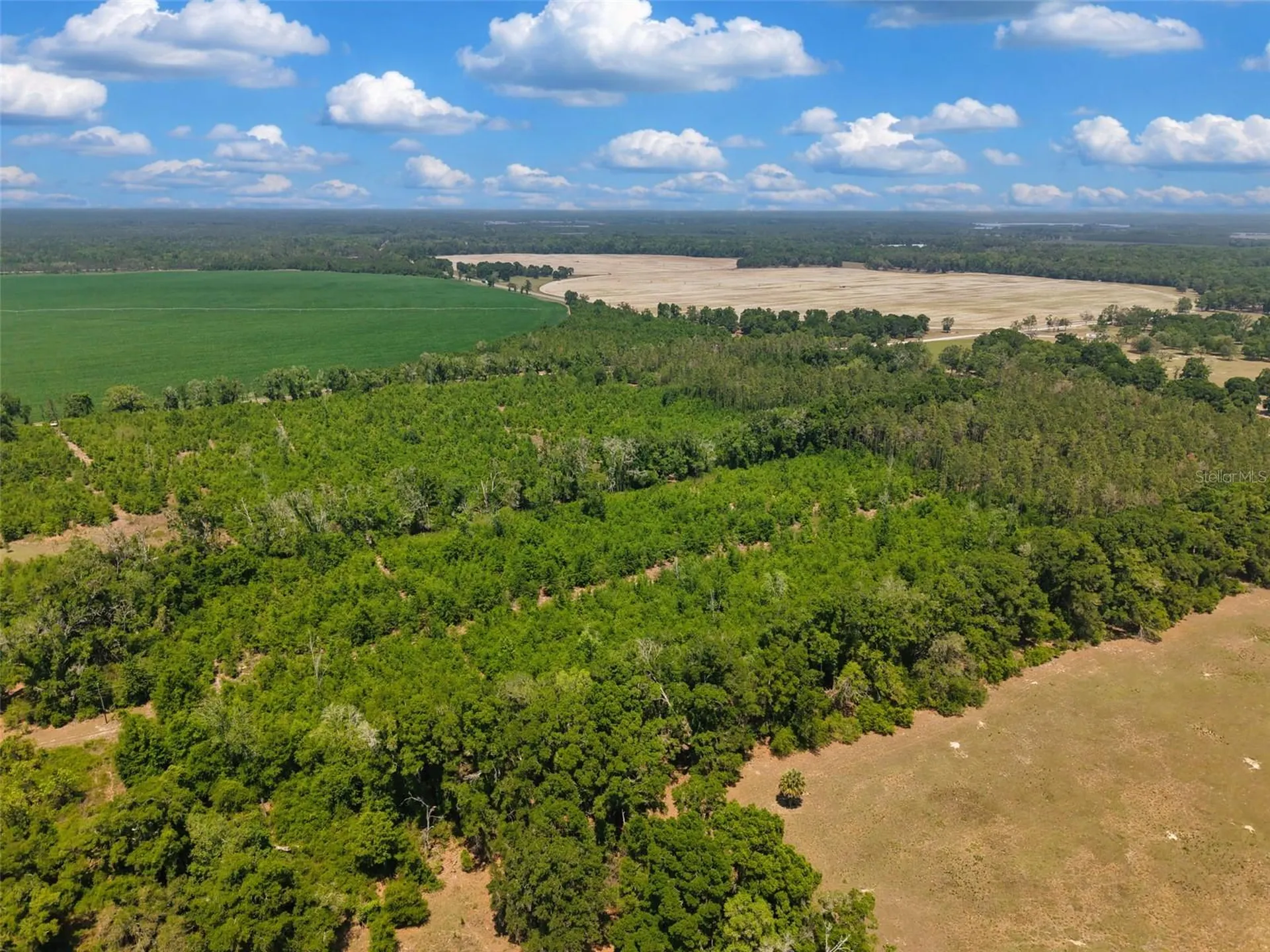 Tbd 000 NE 998th Avenue Branford FL 32008