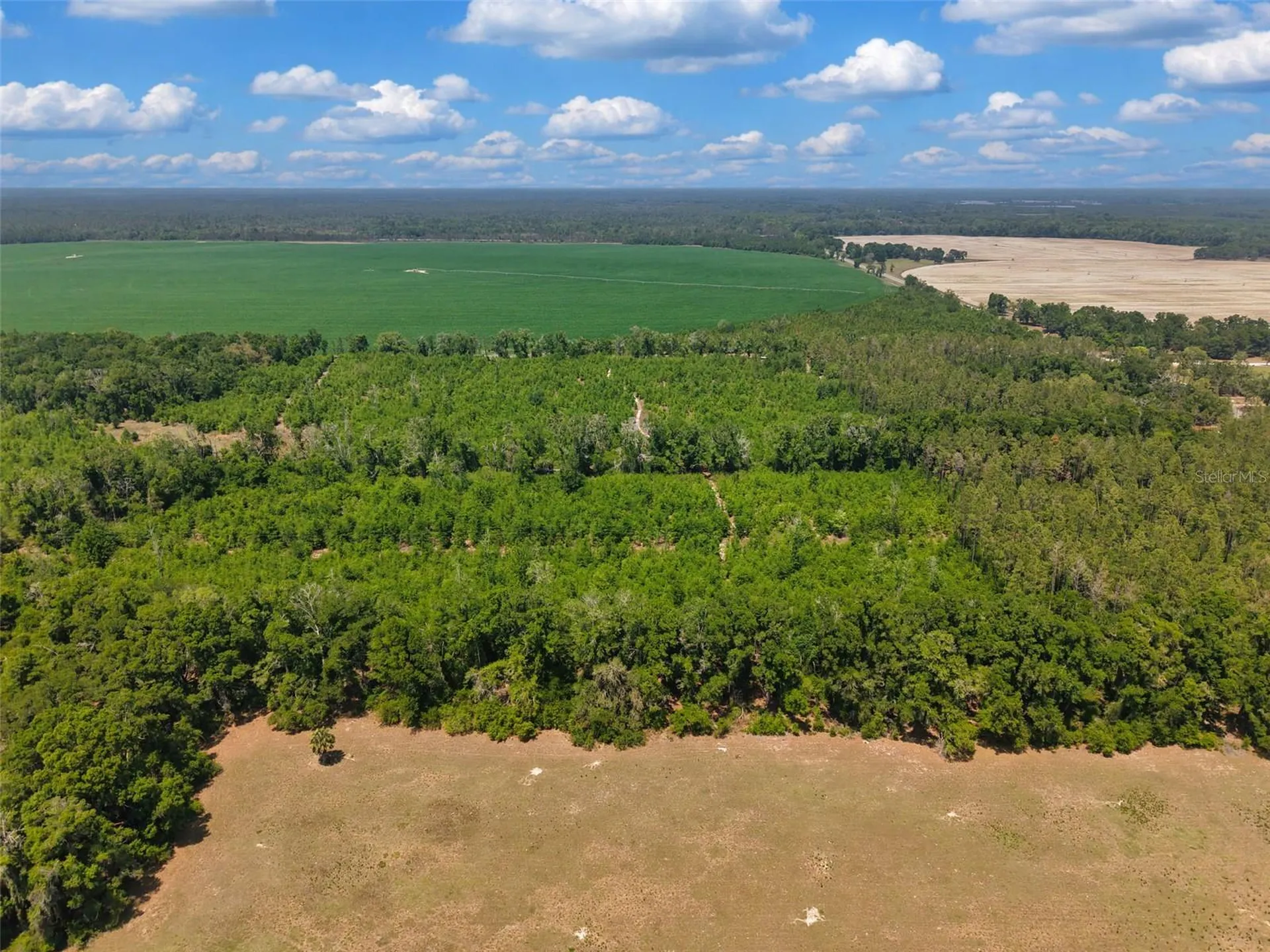 Tbd 000 NE 998th Avenue Branford FL 32008