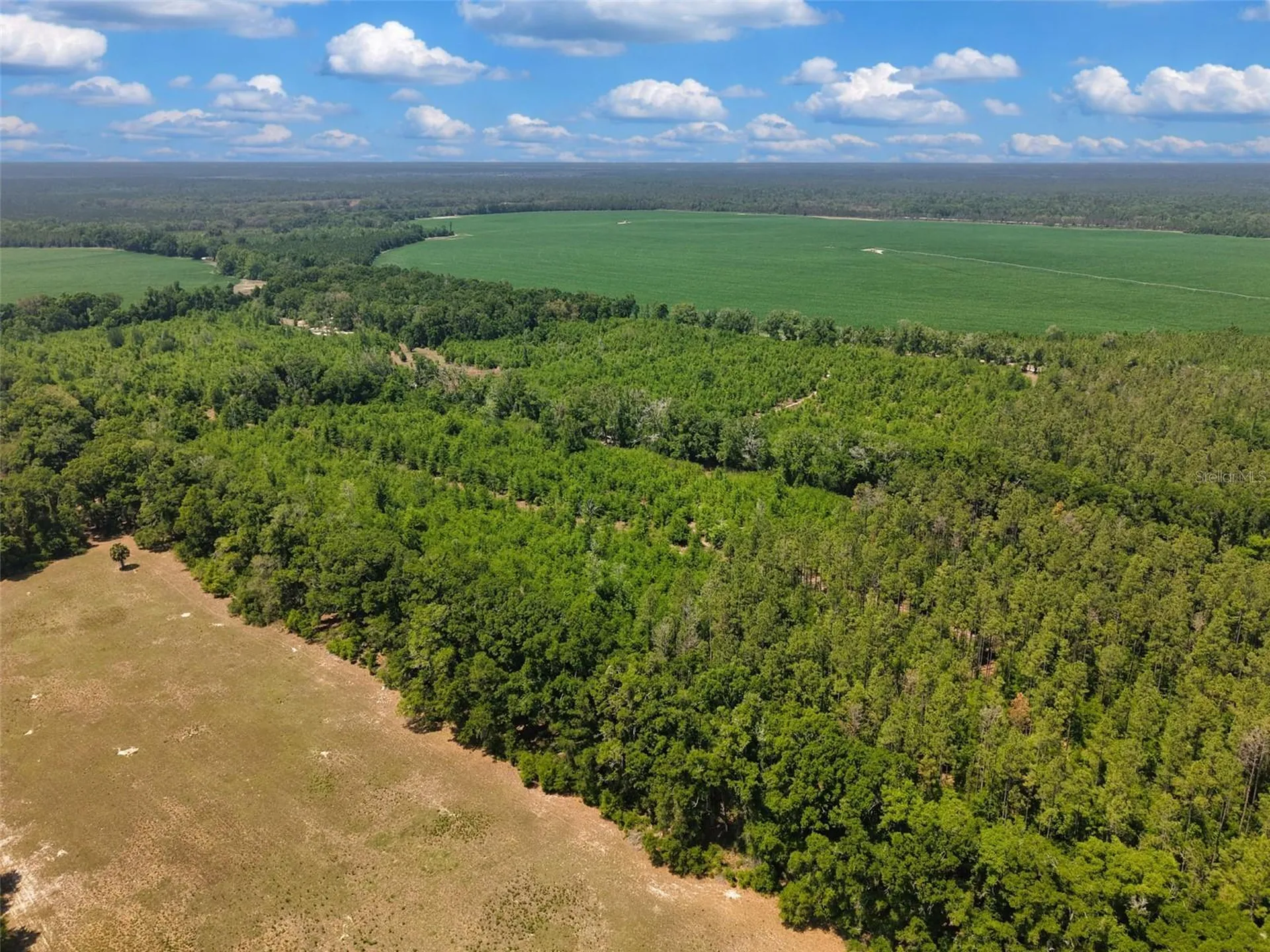 Tbd 000 NE 998th Avenue Branford FL 32008