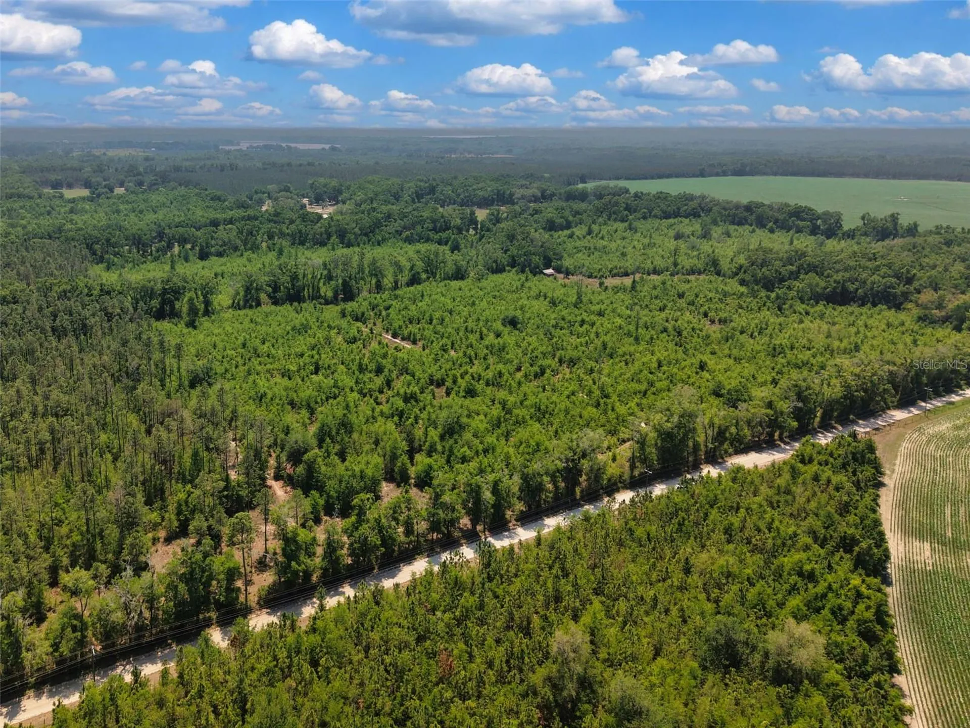 Tbd 000 NE 998th Avenue Branford FL 32008
