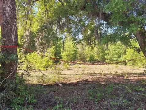 Tbd 000 NE 998th Avenue Branford FL 32008