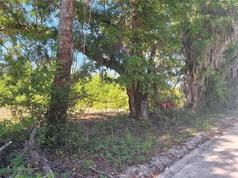Tbd 000 NE 998th Avenue Branford FL 32008