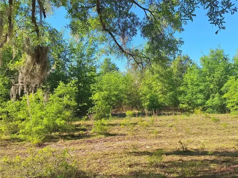Tbd 000 NE 998th Avenue Branford FL 32008