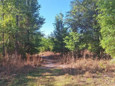 Tbd 000 NE 998th Avenue Branford FL 32008