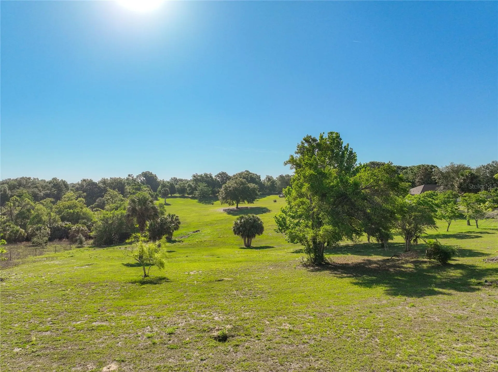 32936 Scenic Hills Drive Mount Dora FL 32757
