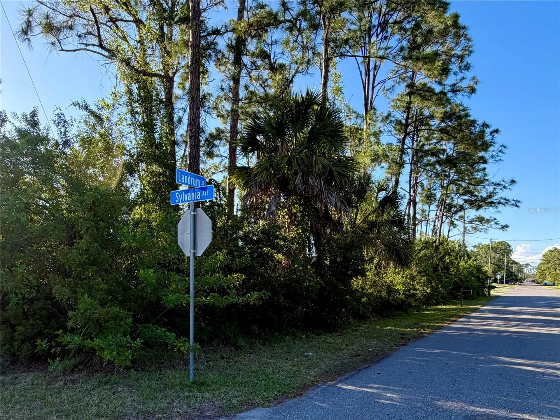 Sylvania Avenue North Port FL 34291