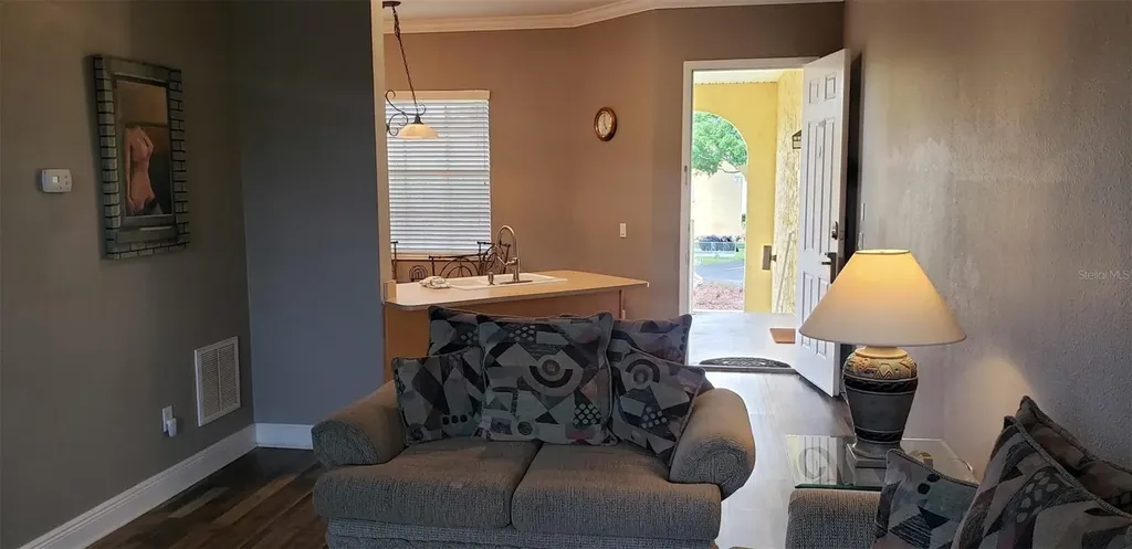 21032 Picasso Court Land O Lakes FL 34637