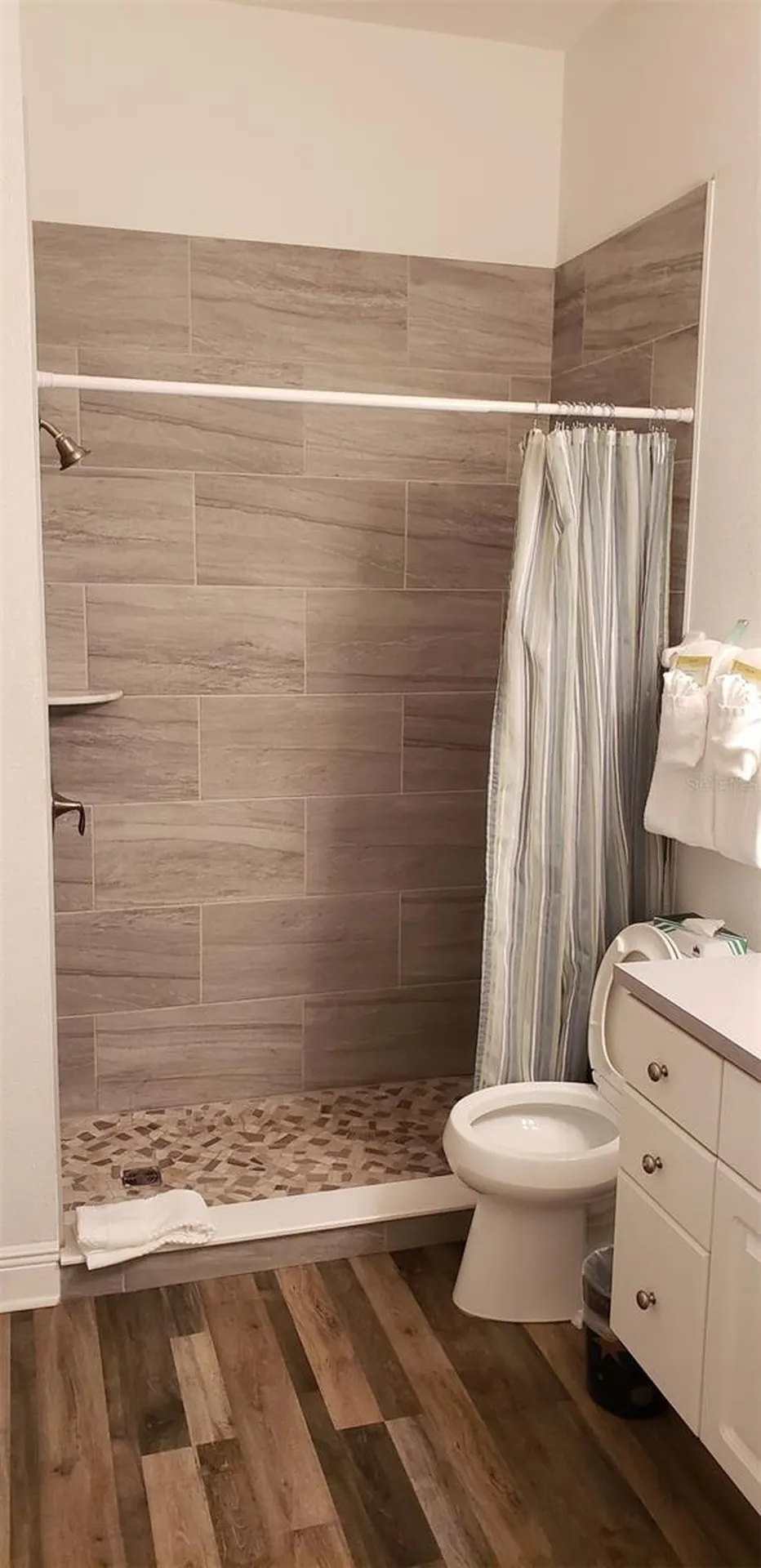 21032 Picasso Court Land O Lakes FL 34637