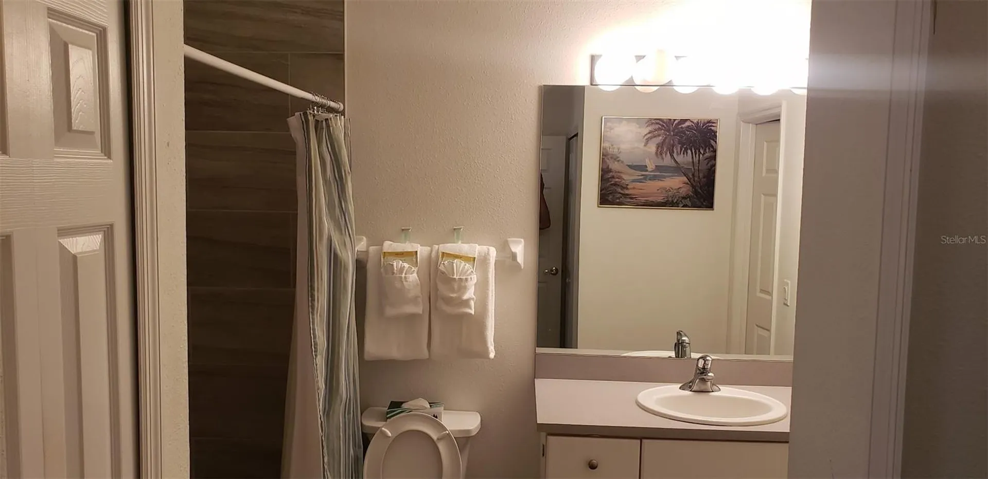 21032 Picasso Court Land O Lakes FL 34637