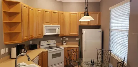 21032 Picasso Court Land O Lakes FL 34637