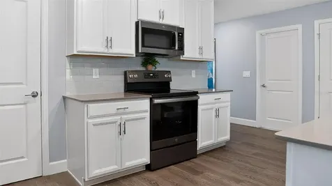 5526 Limestone Street Mount Dora FL 32757