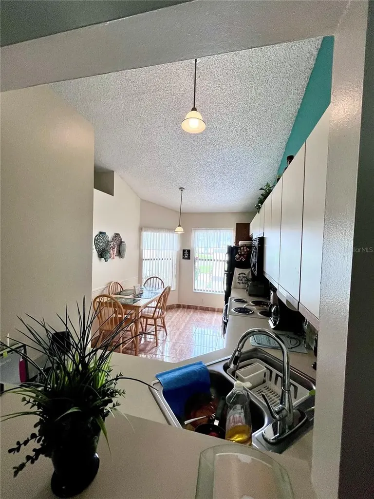 29 Lakepointe Circle Kissimmee FL 34743