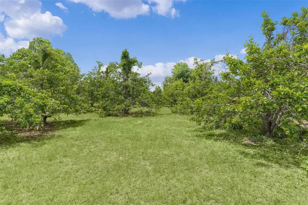 5946 Sr 471 Bushnell FL 33513