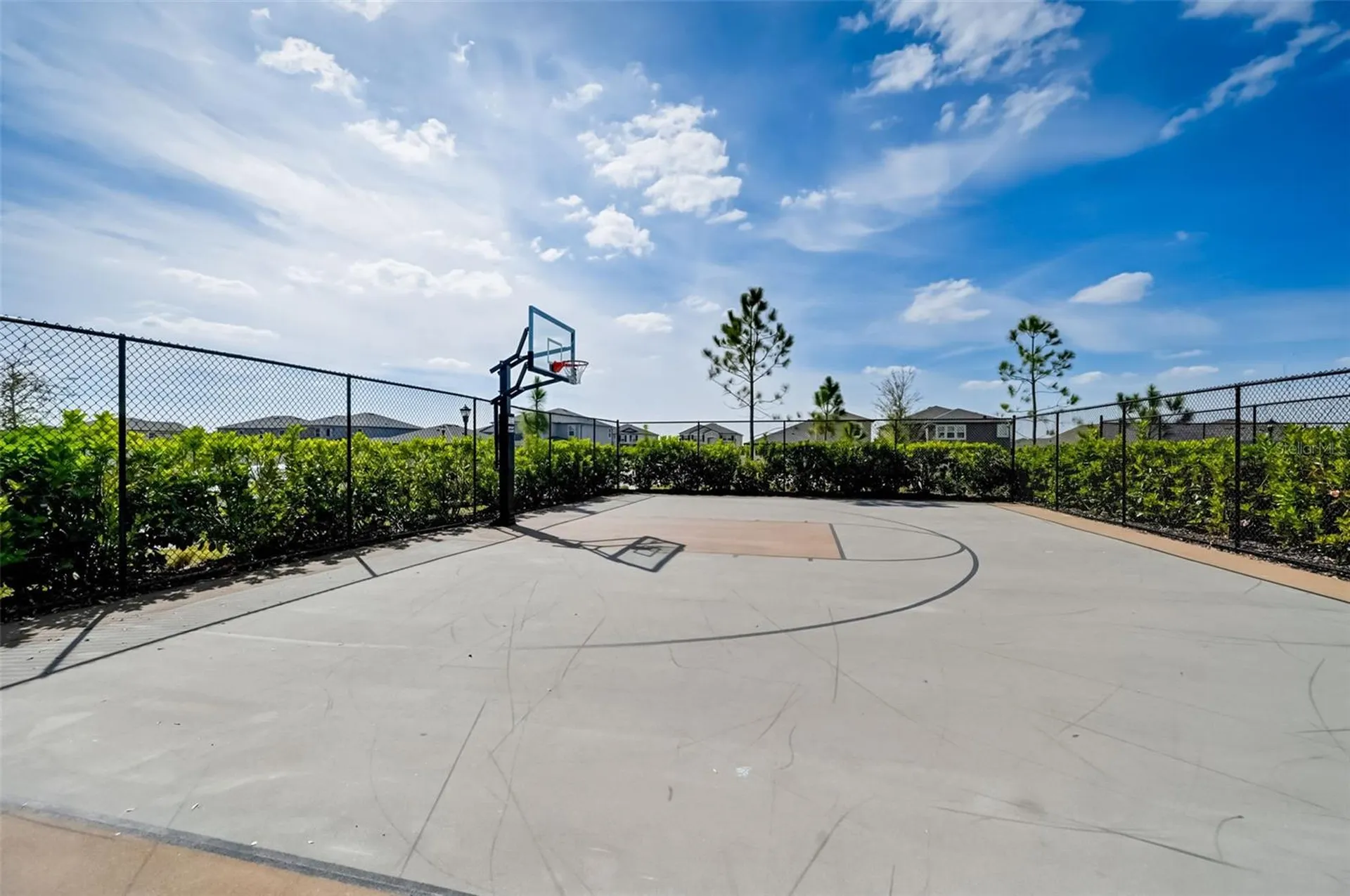 3139 Marine Grass Drive Wimauma FL 33598