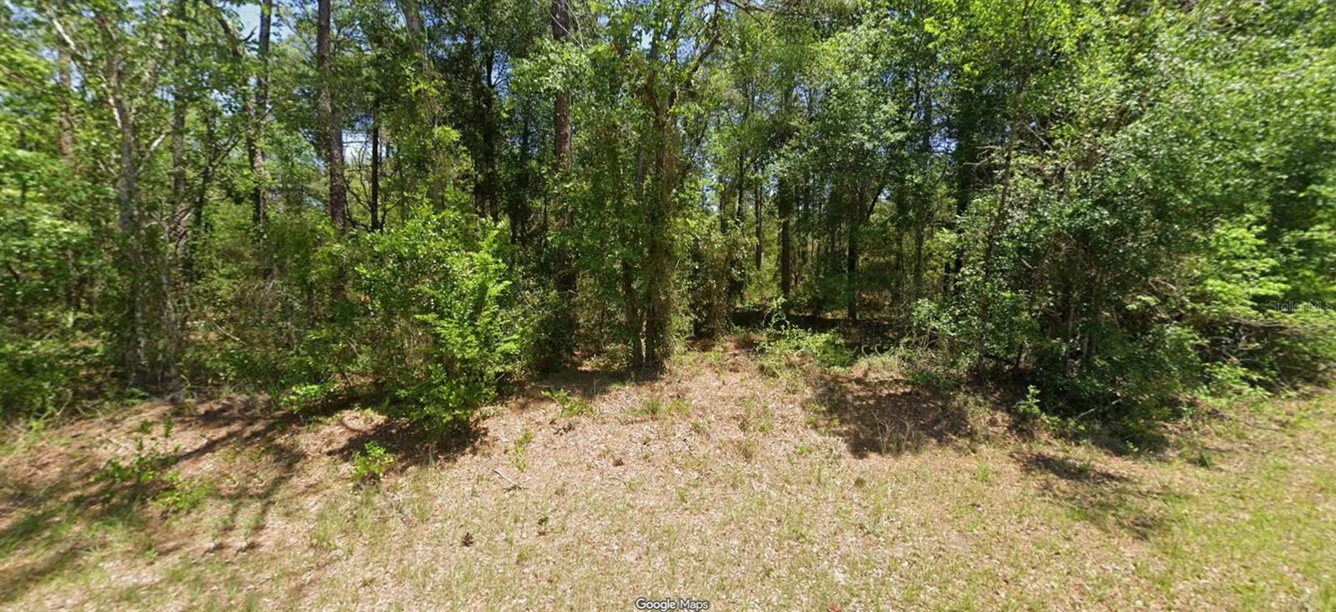 NW Buena Vista Road Dunnellon FL 34431