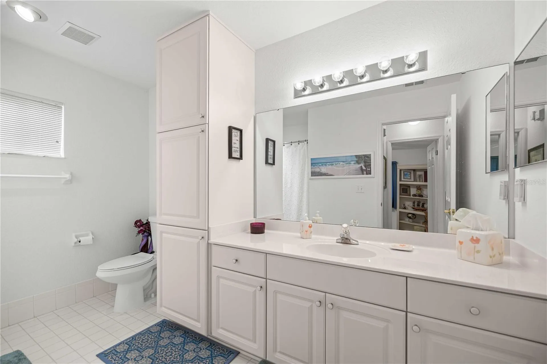 13732 SE 88th Court Summerfield FL 34491