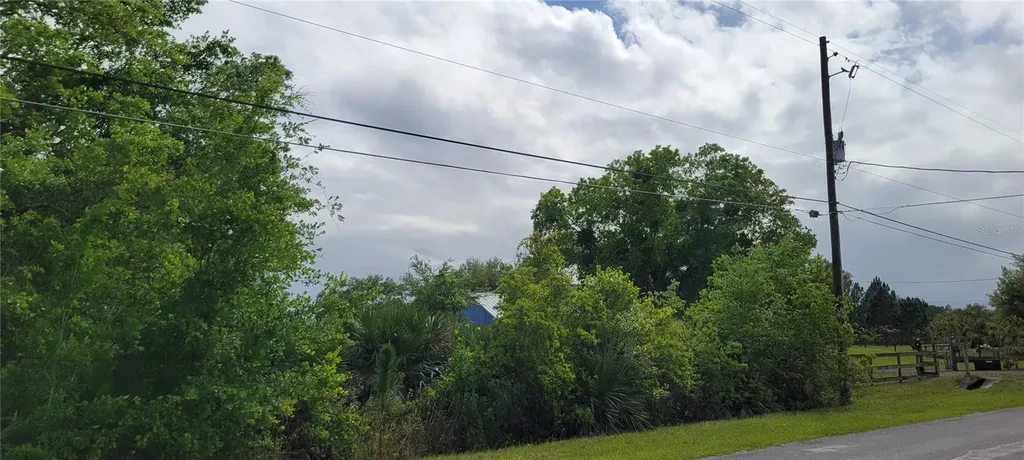 Ralston Street Orlando FL 32833