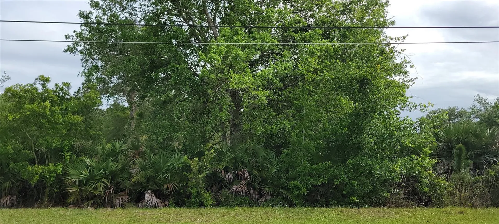 Ralston Street Orlando FL 32833
