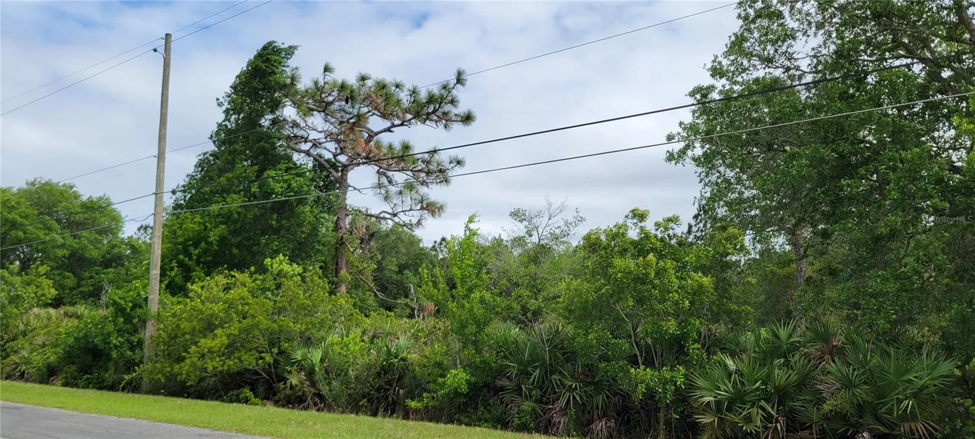 Ralston Street Orlando FL 32833