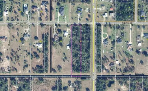 Ralston Street Orlando FL 32833