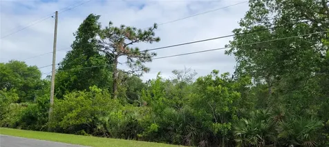 Ralston Street Orlando FL 32833