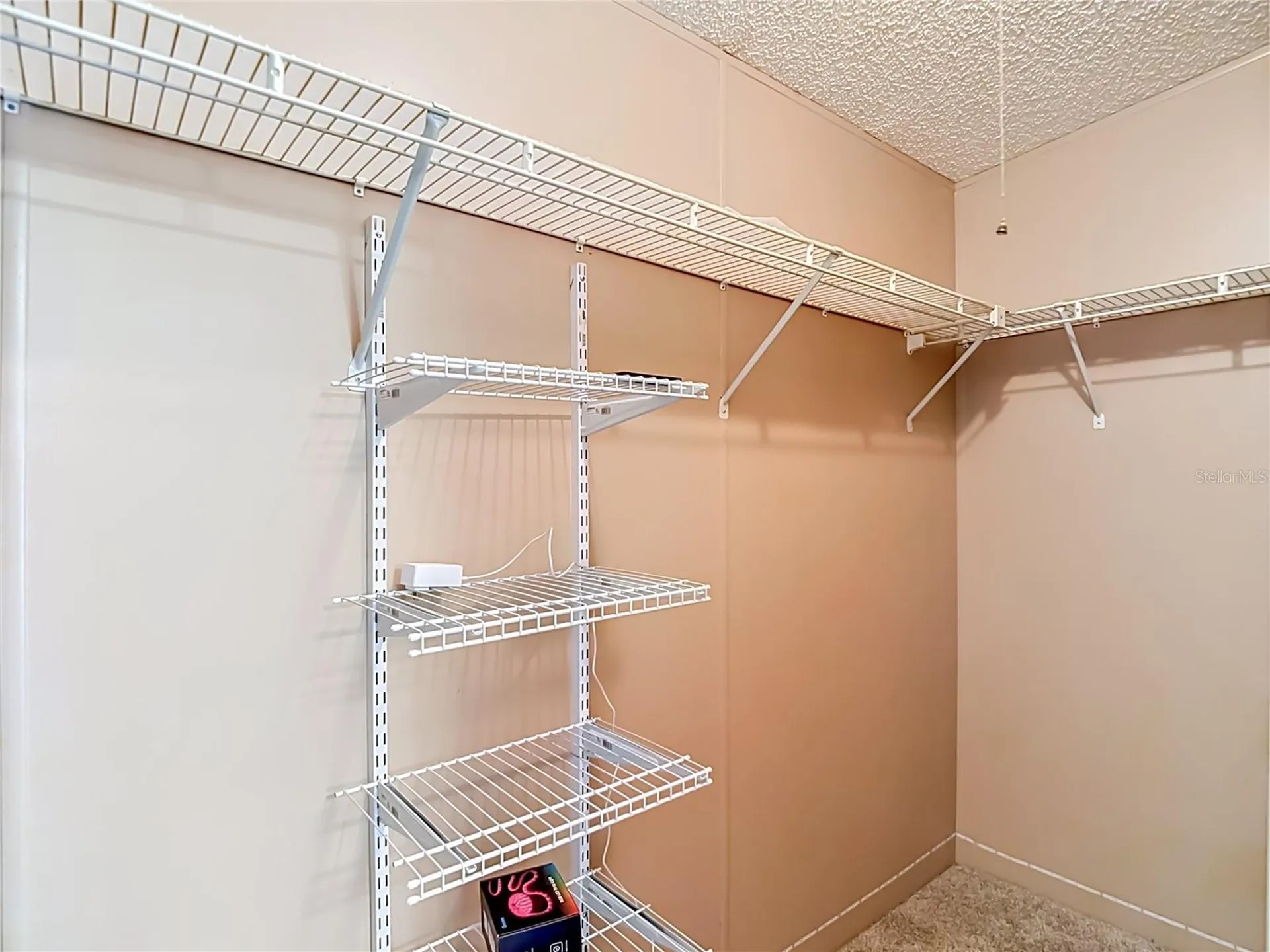 38906 Alston Avenue Zephyrhills FL 33542