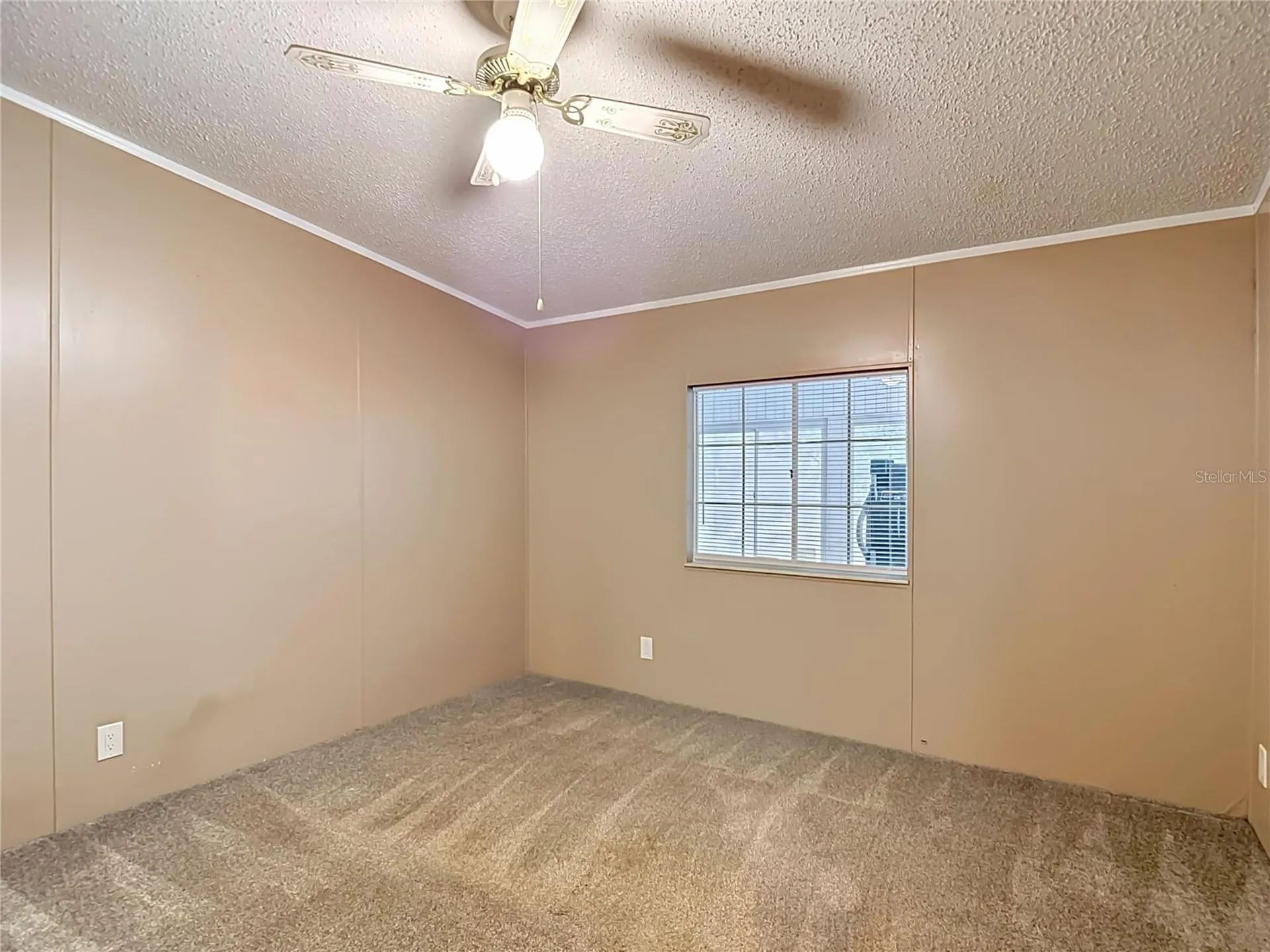38906 Alston Avenue Zephyrhills FL 33542