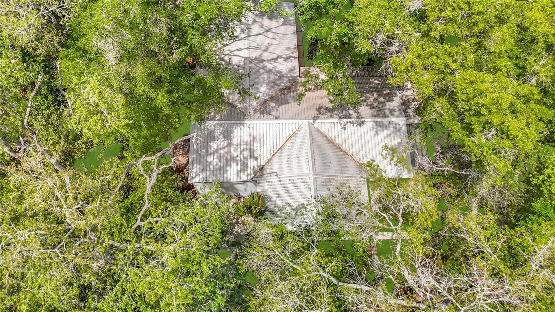 38906 Alston Avenue Zephyrhills FL 33542