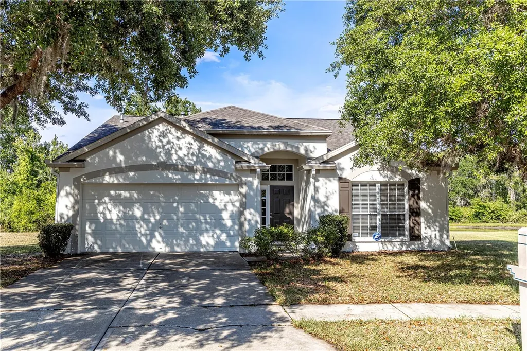 29841 Morningmist Drive Wesley Chapel FL 33543