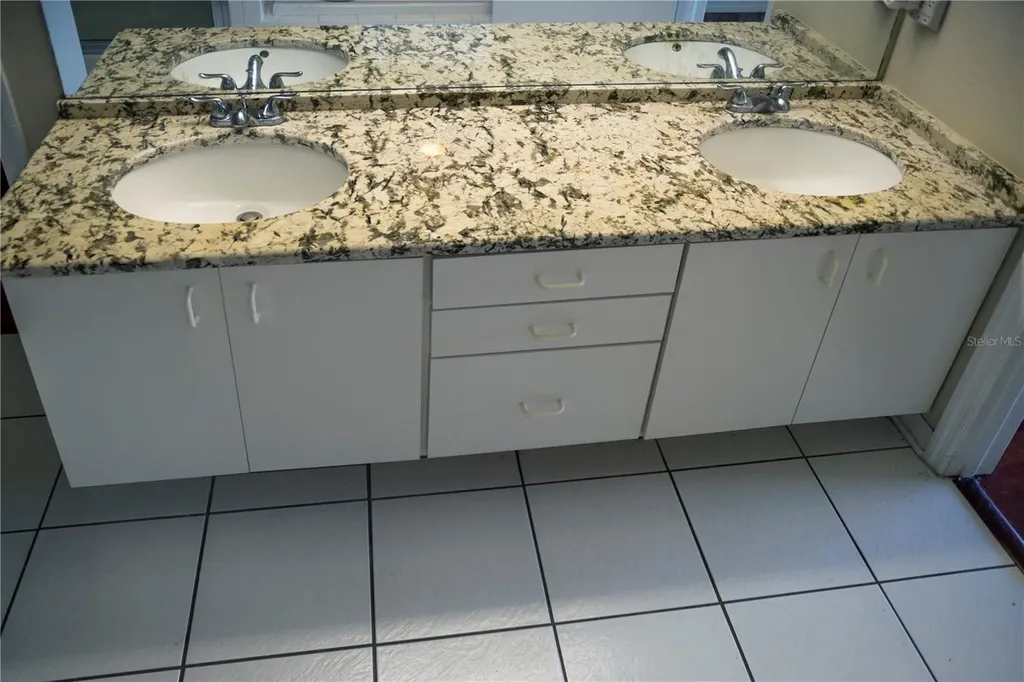 29841 Morningmist Drive Wesley Chapel FL 33543