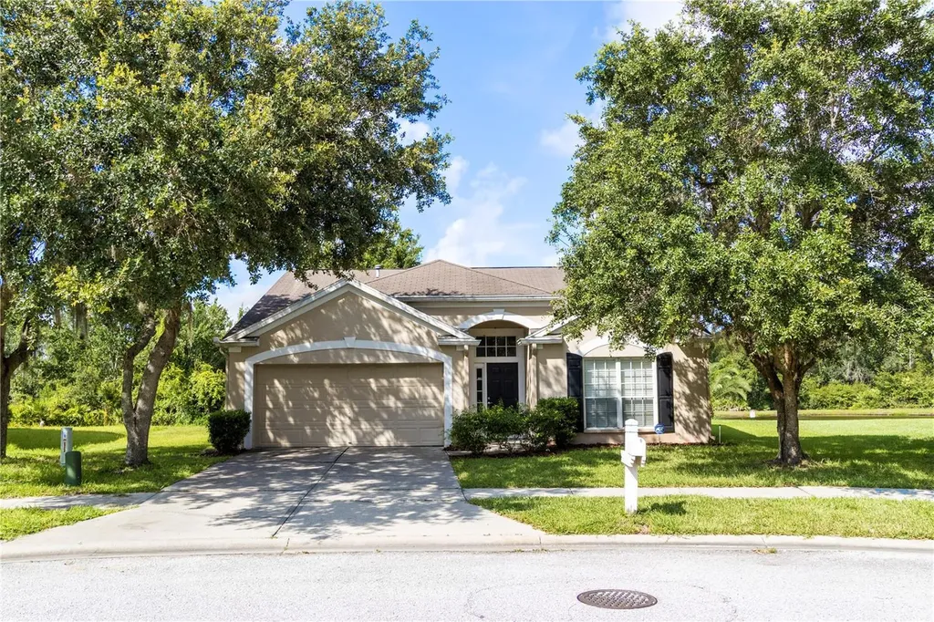 29841 Morningmist Drive Wesley Chapel FL 33543