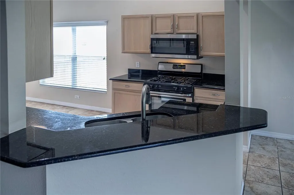 29841 Morningmist Drive Wesley Chapel FL 33543