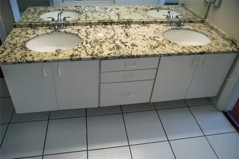 29841 Morningmist Drive Wesley Chapel FL 33543