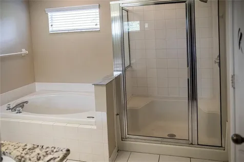 29841 Morningmist Drive Wesley Chapel FL 33543