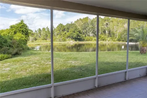 29841 Morningmist Drive Wesley Chapel FL 33543