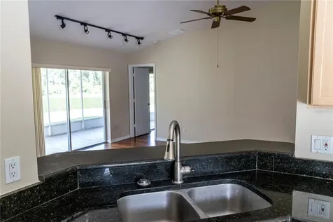 29841 Morningmist Drive Wesley Chapel FL 33543