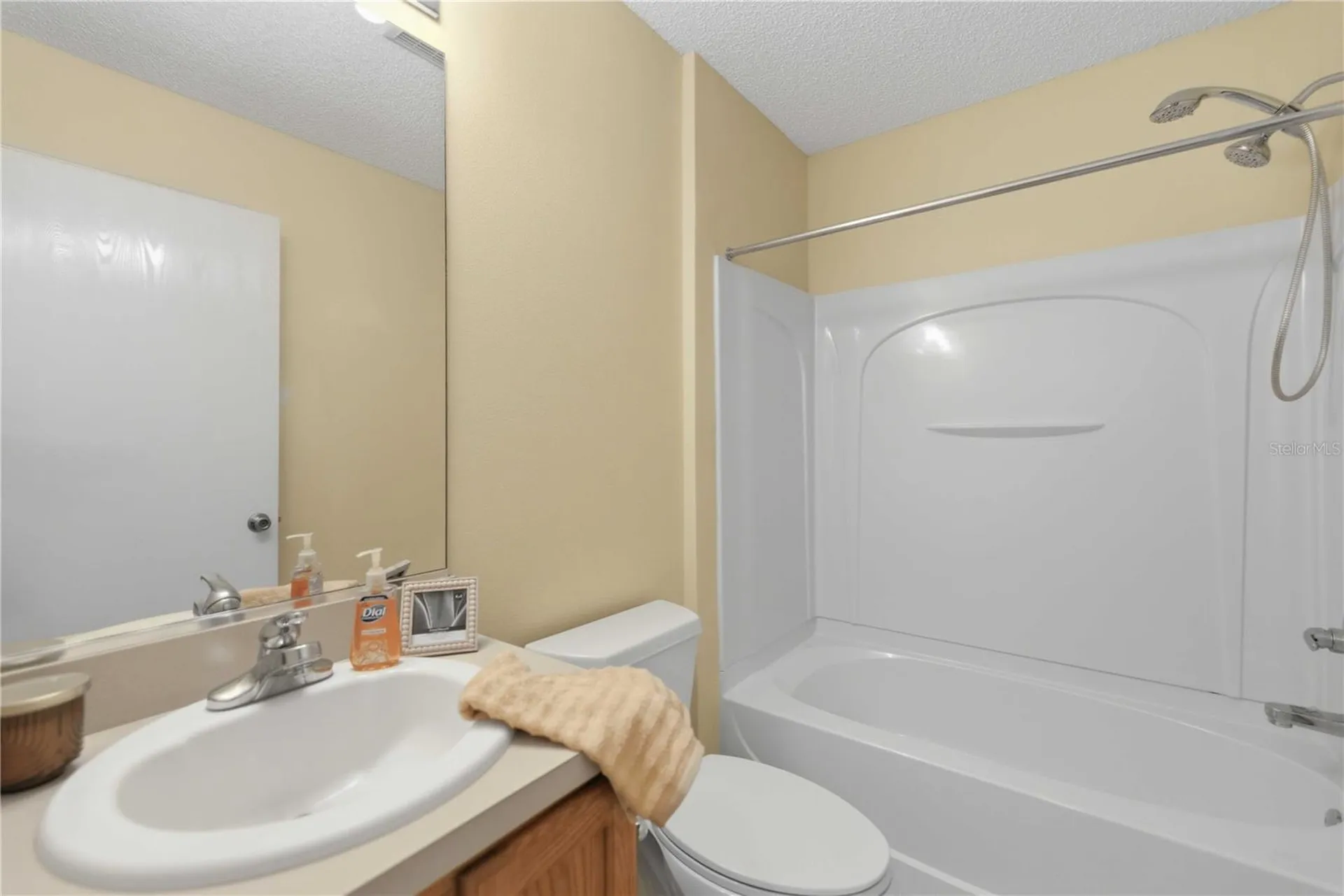 3431 Sipsey Street The Villages FL 32162