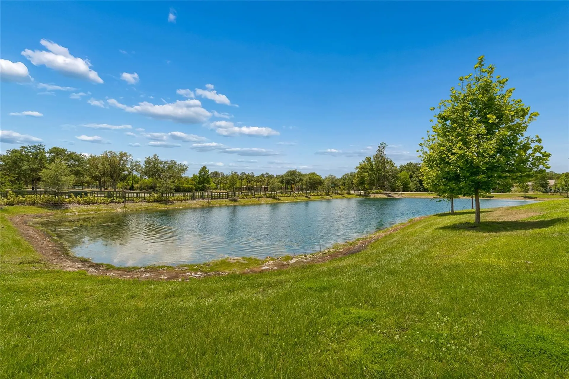 18238 Pearl View Place Lutz FL 33548