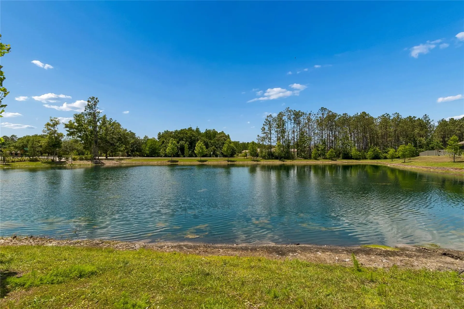18238 Pearl View Place Lutz FL 33548