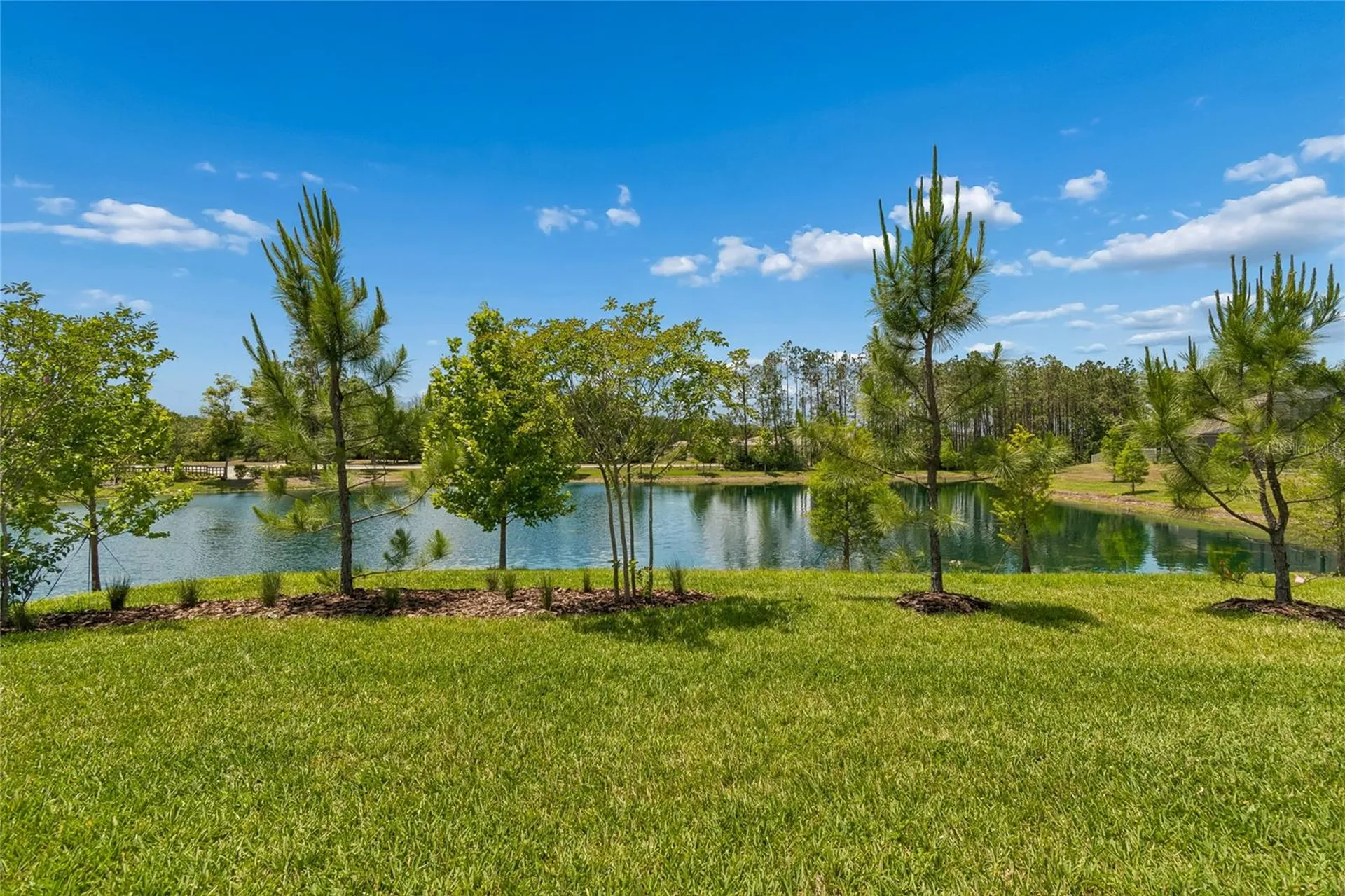 18238 Pearl View Place Lutz FL 33548