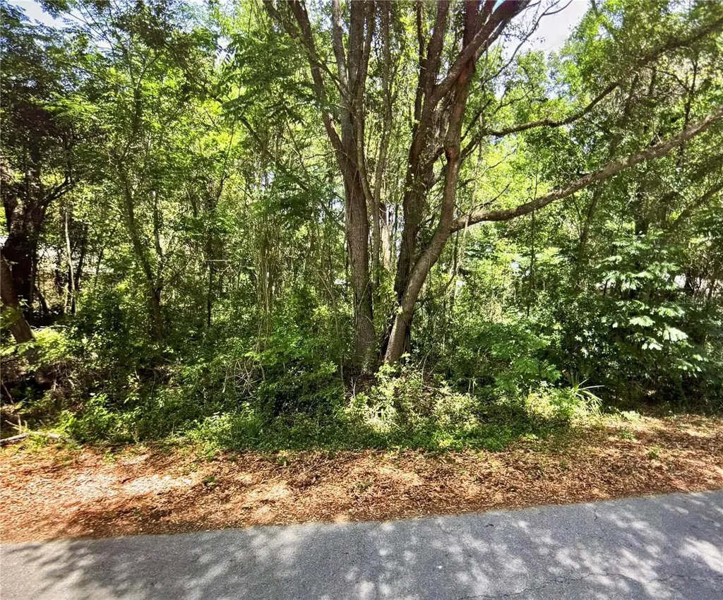 41 Pine Trace Course Ocala FL 34472