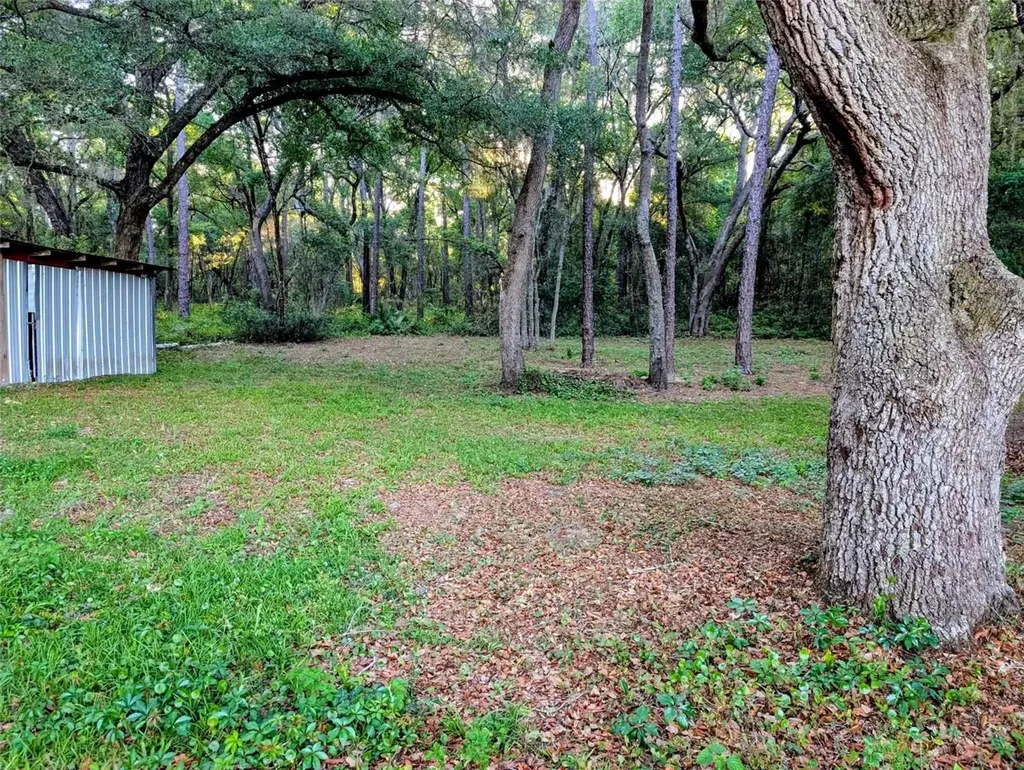 17247 SE 284th Terrace Umatilla FL 32784