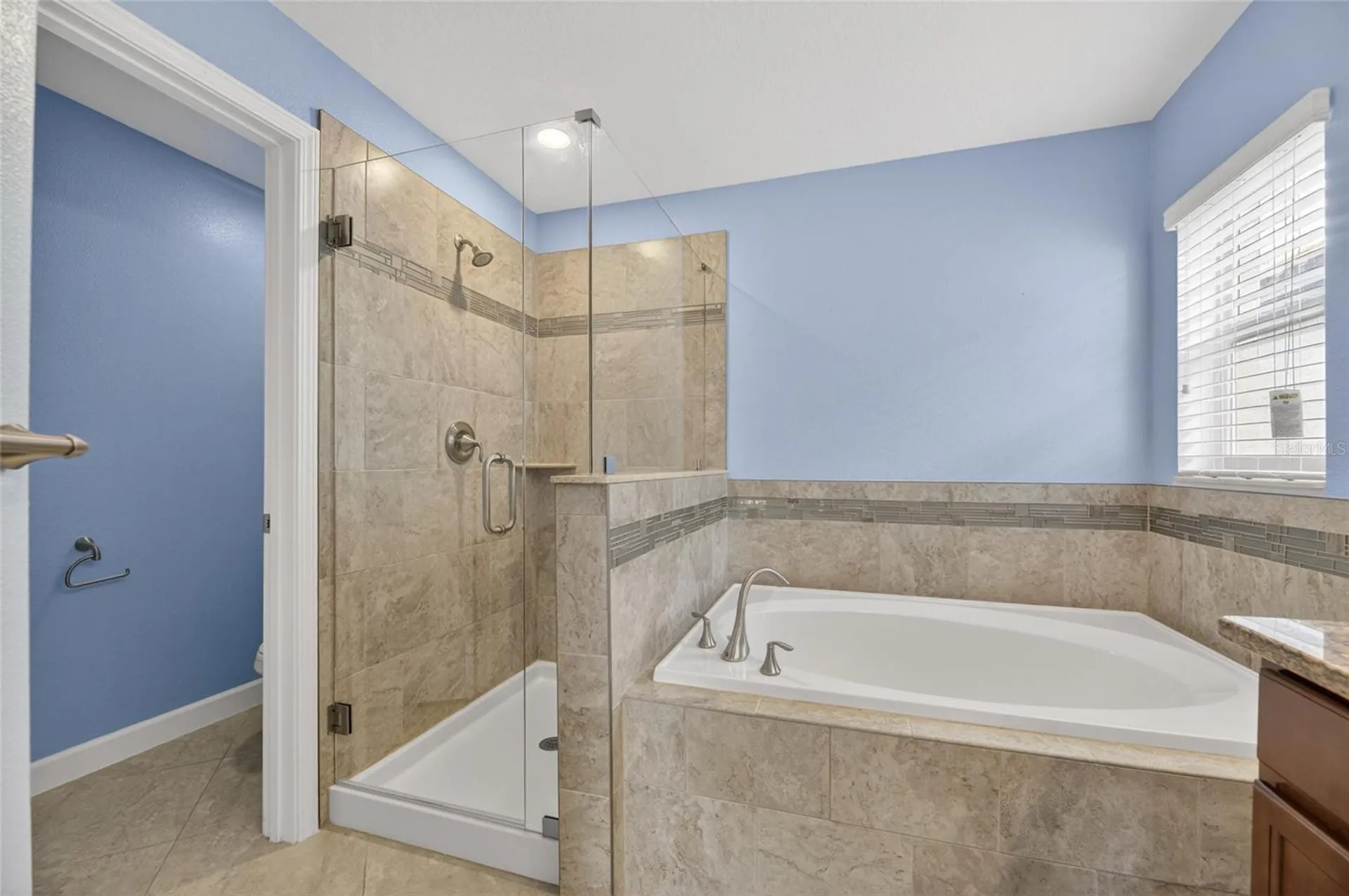 13168 Green Violet Drive Riverview FL 33579