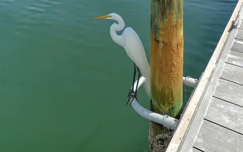 925 Spanish Drive N Longboat Key FL 34228
